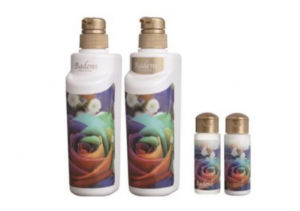 バーデンス Badens 勉強会 セミナー 大阪 堺 京都 和歌山 奈良 兵庫 神戸