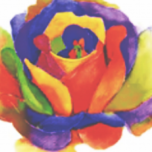 レインボウローズ バーデンス ディーラー 大阪 堺 神戸 神戸 兵庫 奈良 関西 モアコスメティックス バンブーワールド badens 販売 美容室 美容院 卸 通販 お酢 レインボーローズ シャンプー トリートメント