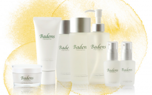 バーデンス Badens 勉強会 セミナー 大阪 堺 京都 和歌山 奈良 兵庫 神戸