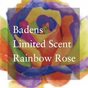 バーデンス ディーラー 大阪 堺 神戸 神戸 兵庫 奈良 関西 モアコスメティックス バンブーワールド badens 販売 美容室 美容院 卸 通販 お酢 レインボーローズ シャンプー トリートメント