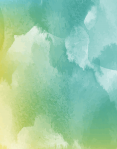 バーデンス ディーラー 大阪 堺 神戸 神戸 兵庫 奈良 関西 モアコスメティックス バンブーワールド badens 販売 美容室 美容院 卸 通販 お酢 シャンプー トリートメント