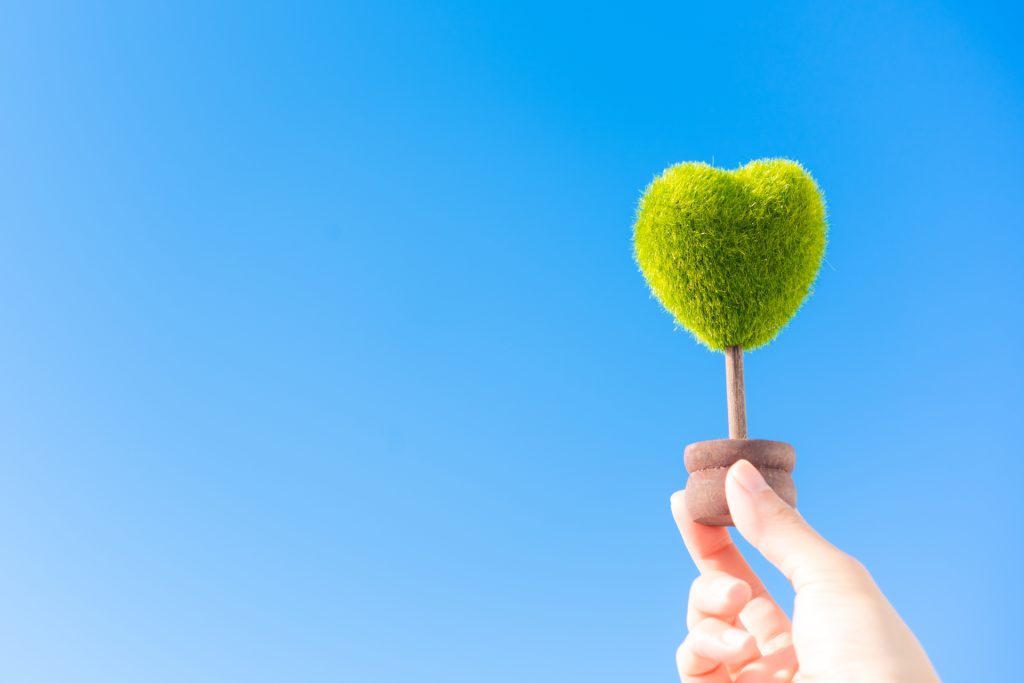 バーデンス ディーラー 大阪 堺 神戸 神戸 兵庫 奈良 関西 モアコスメティックス バンブーワールド badens 販売 美容室 美容院 卸 通販 お酢 シャンプー トリートメント